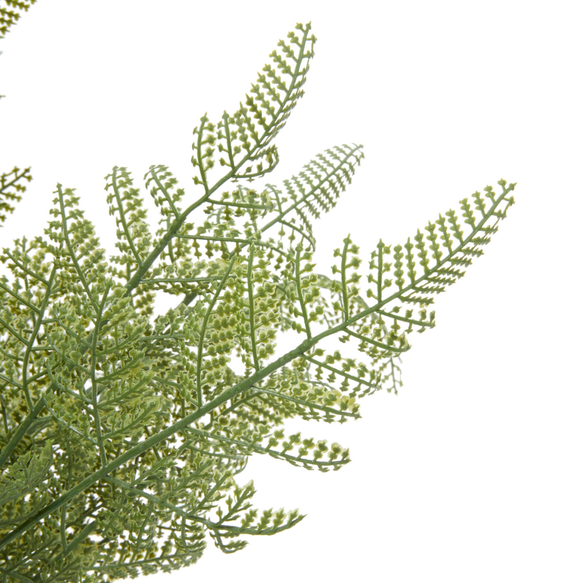 Green Plastic Traditional Artificial Foliage, 15" x 15" x 19"